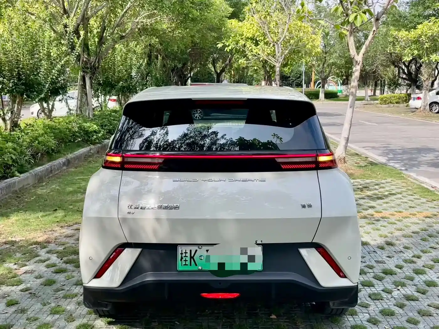 BYD Seagull 2024 Glory Edition 305km Freedom Edition фото 5