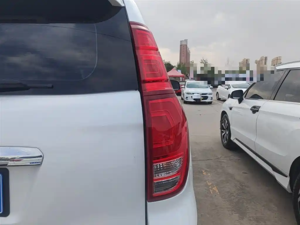 Haval H9 2020 2.0T Gasoline 4WD Elite 5-Seater фото 8