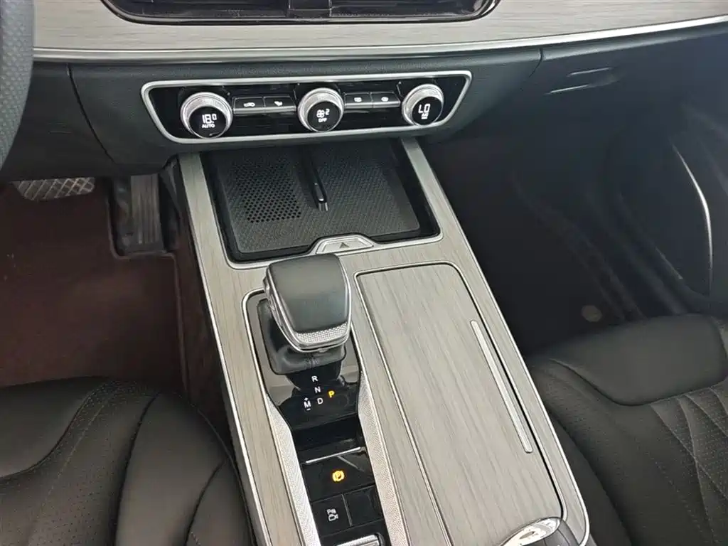 Hongqi HS5 2025 2.0T 2WD 600,000 Units Commemorative Edition фото 14