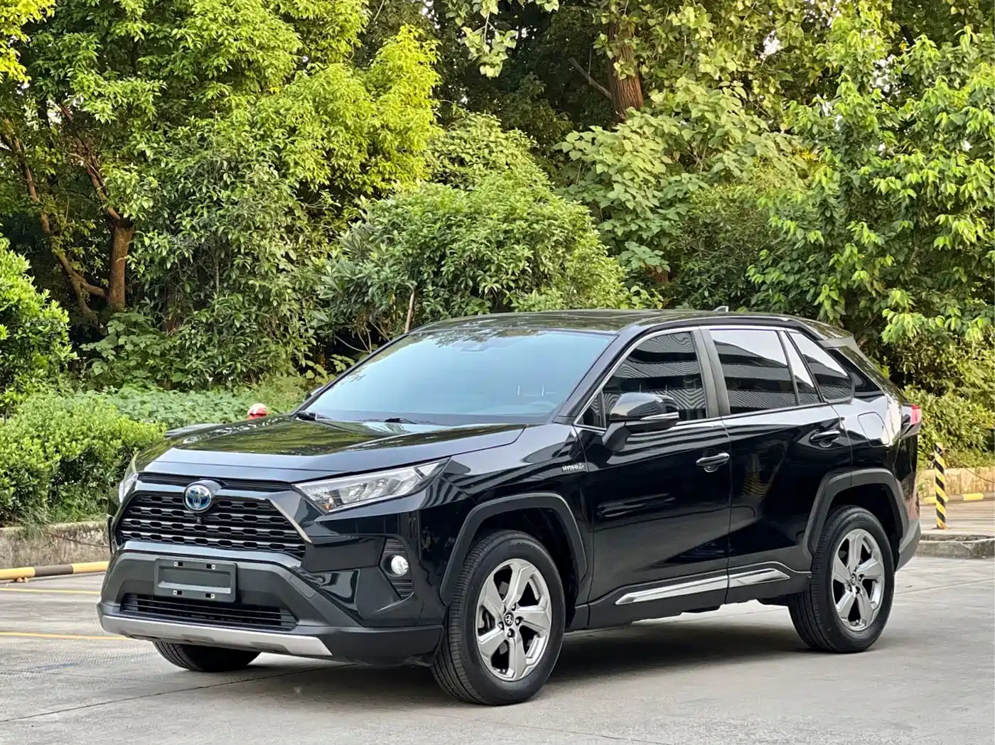 Toyota RAV4 Rongfang 2020 Hybrid 2.5L E-CVT 2WD Elite Edition