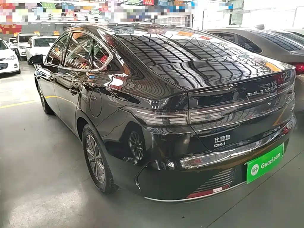BYD Destroyer 05 2024 Glory Edition DM-i 55KM Luxury фото 5