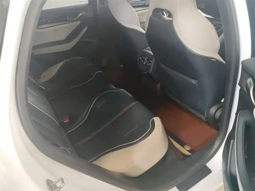 BYD Qin PLUS 2021 EV 500KM Luxury Model фото 14