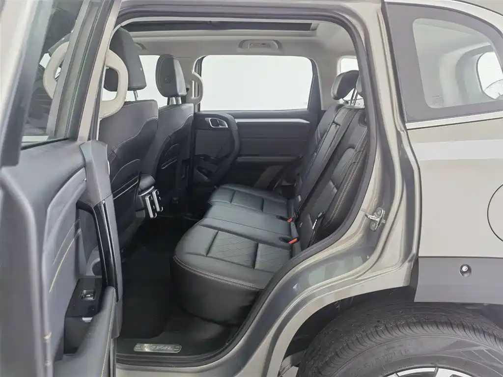 Haval Big Dog 2022 2.0T DCT 4WD Chinese Rural Dog Hunting Edition фото 15