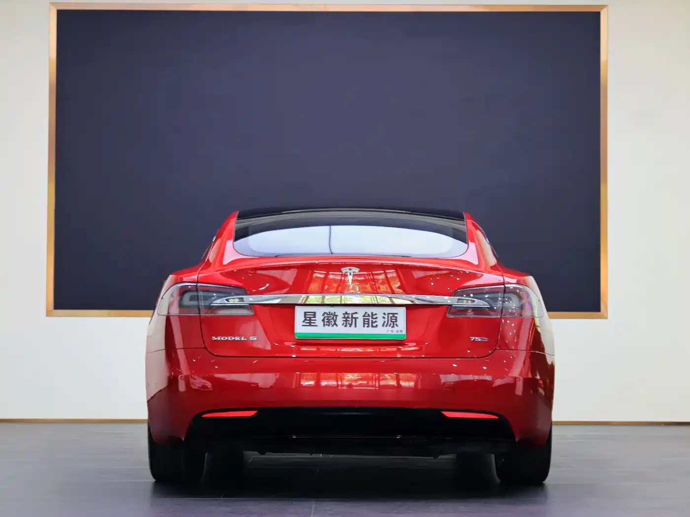 TESLA MODEL S