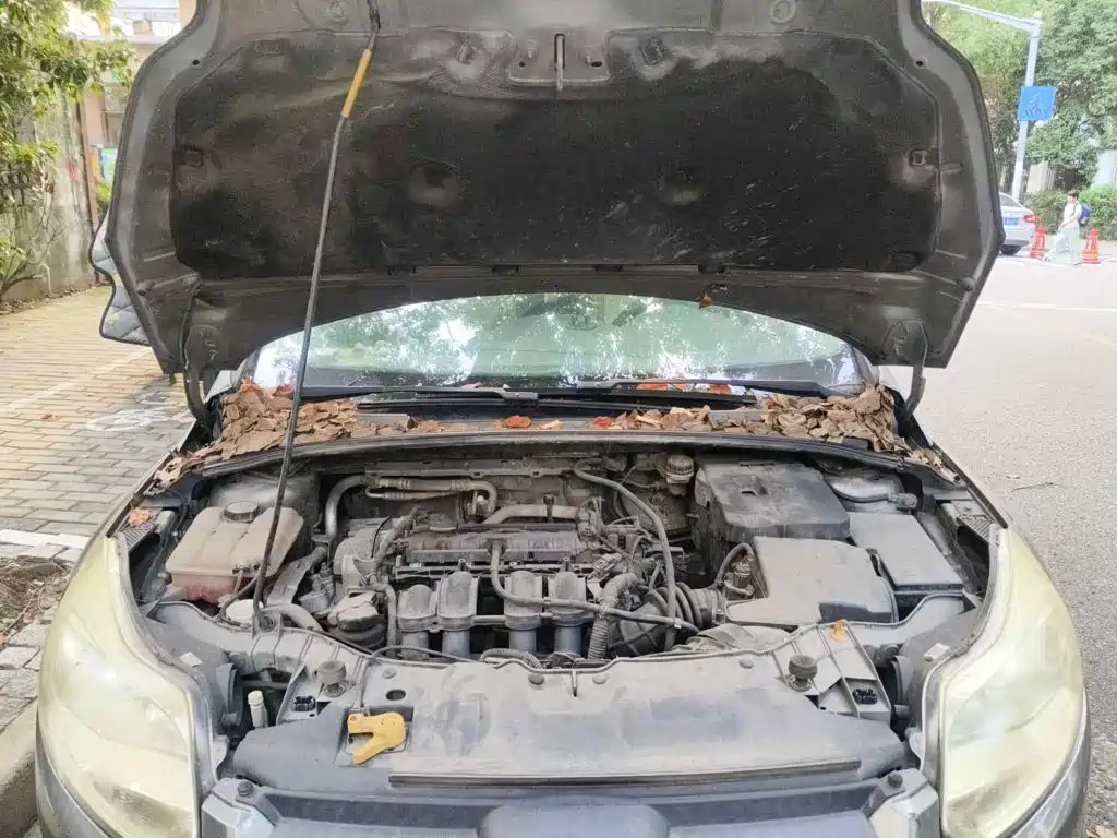 Photo 3 - Ford Focus