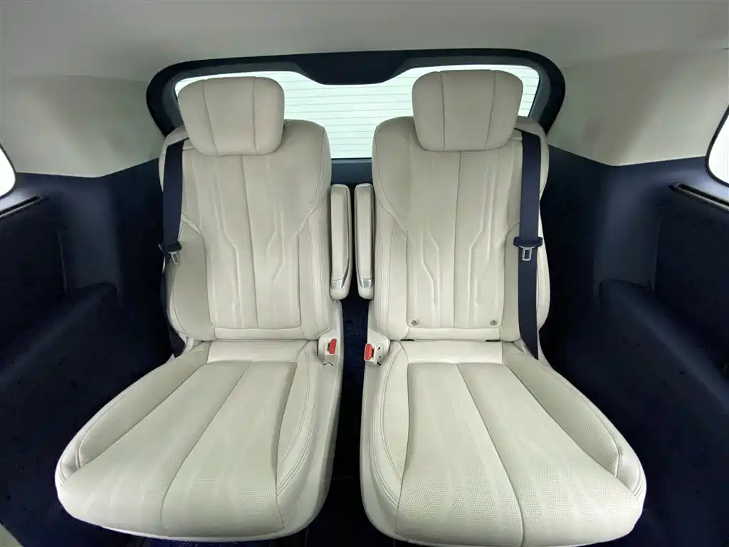 Buick Century 2023 2.0T 6-Seat World Edition фото 10