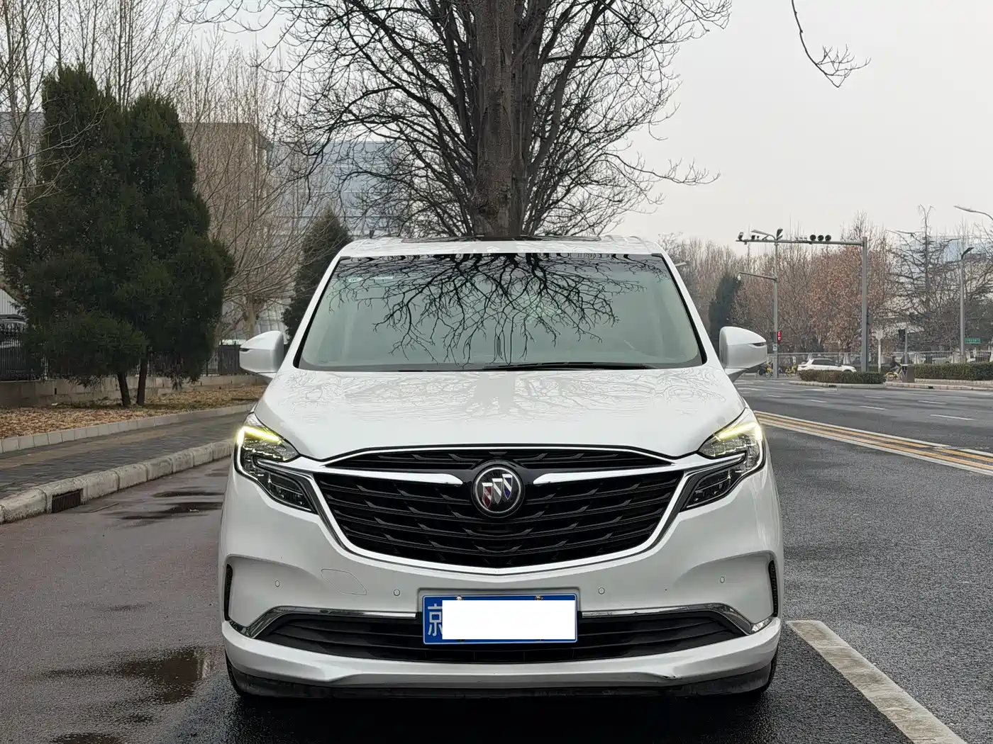 Buick GL8 2020 Model ES Landglory 653T Premium фото 2