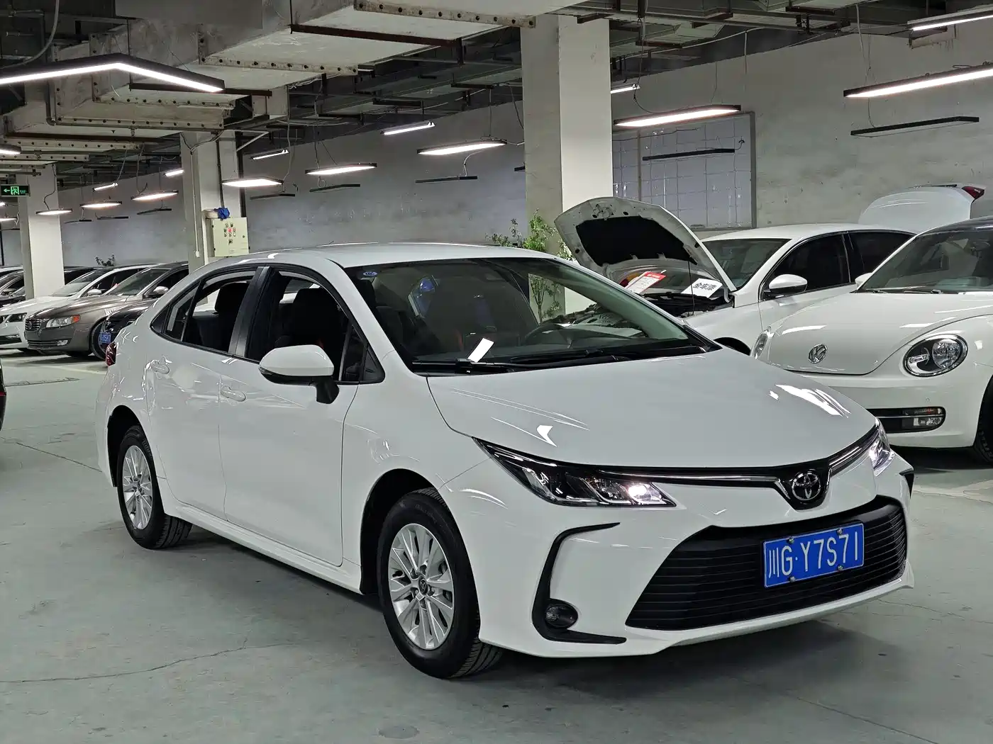 Toyota Corolla 2024 2023 1.2T Pioneer Edition