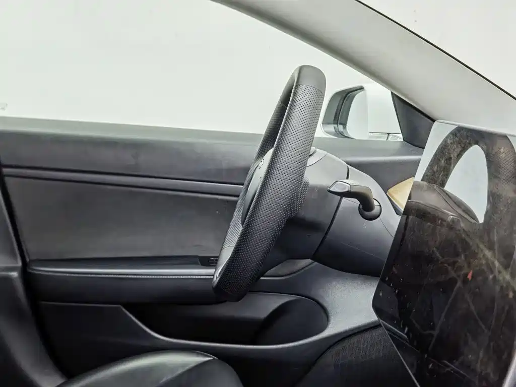 Tesla Model 3 2020 2019 Standard Range Rear-Wheel Drive Upgrade