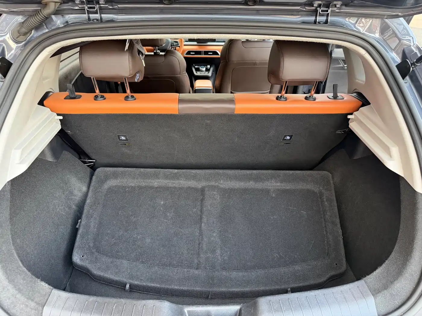 BYD e2 2021 Luxury Edition фото 20