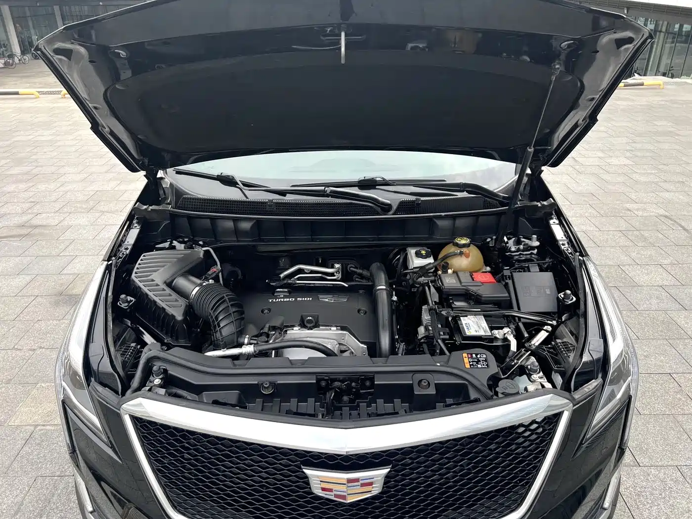 Cadillac XT5 2018 28T 4WD Luxury фото 14