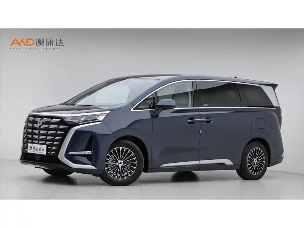 Denza D9 2022 DM-i 970 All-Wheel Drive Honor Edition