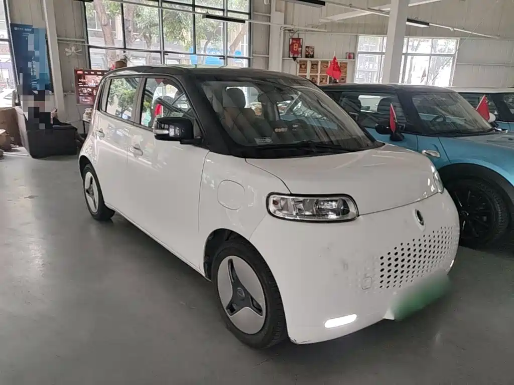 Ora White Cat 2021 2020 360km Luxury Model