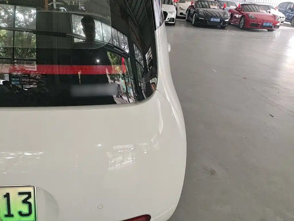 Ora White Cat 2021 2020 360km Luxury Model