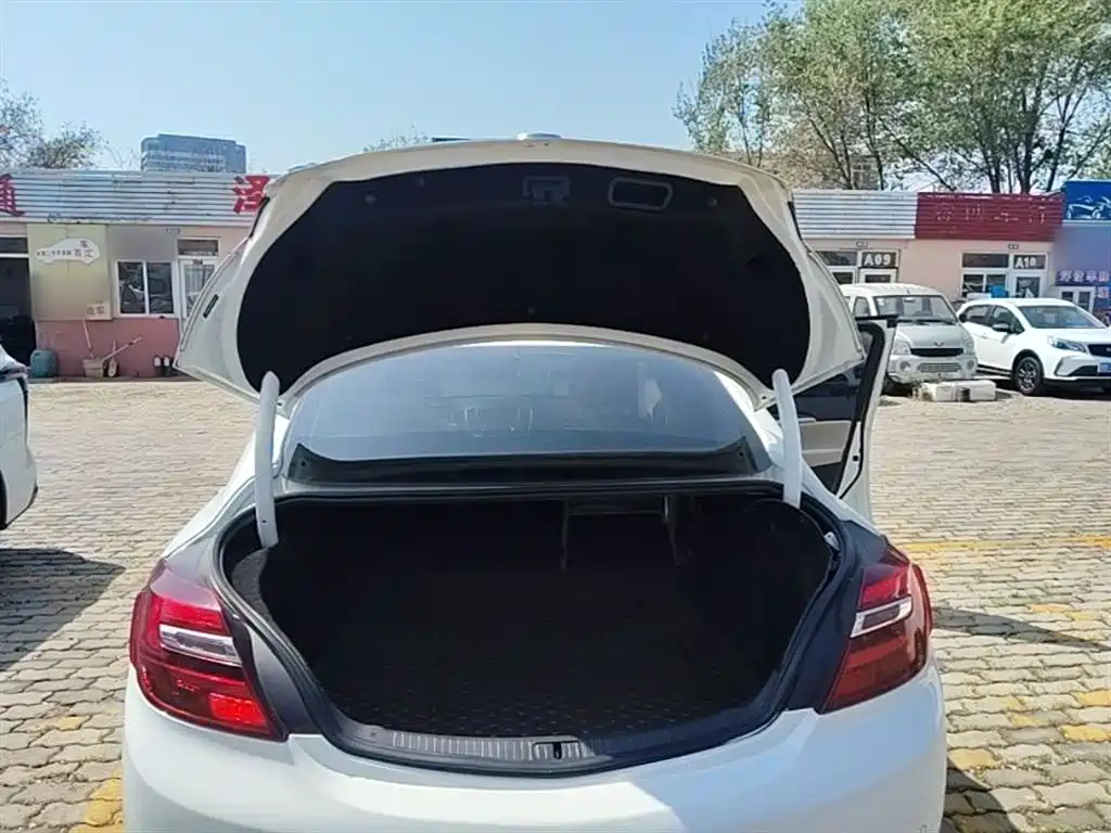 Buick Regal 2014 2.0L Elite Fashion Type фото 19
