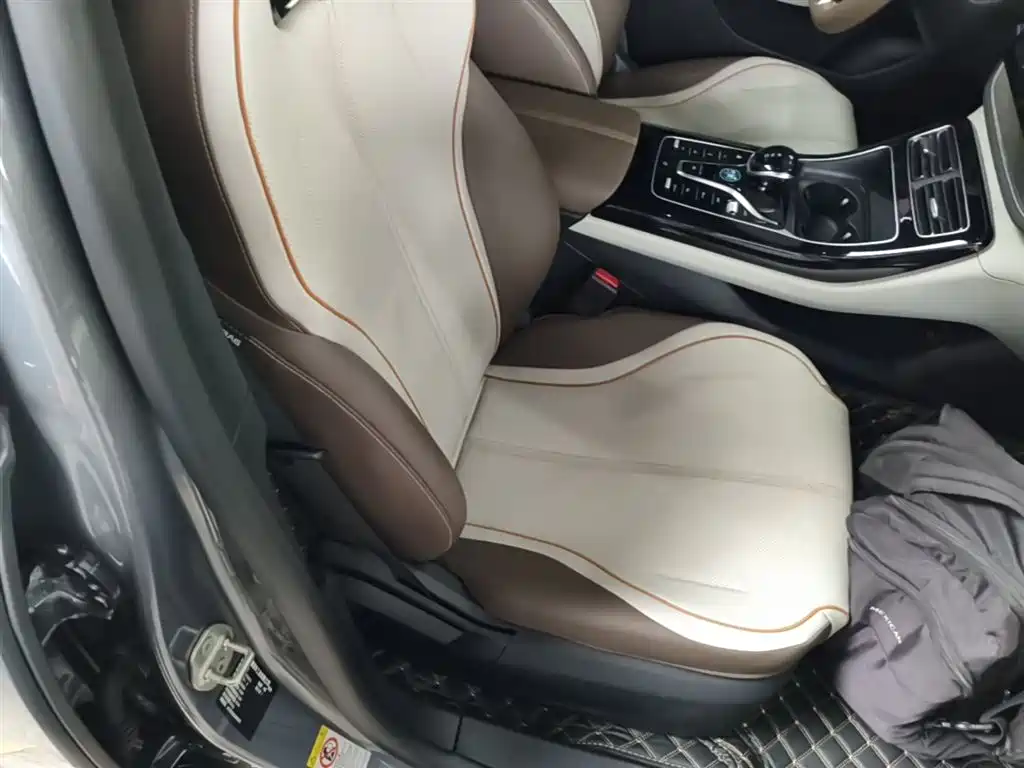 BYD Qin PLUS 2024 Glory Edition EV 420KM Surpass фото 25