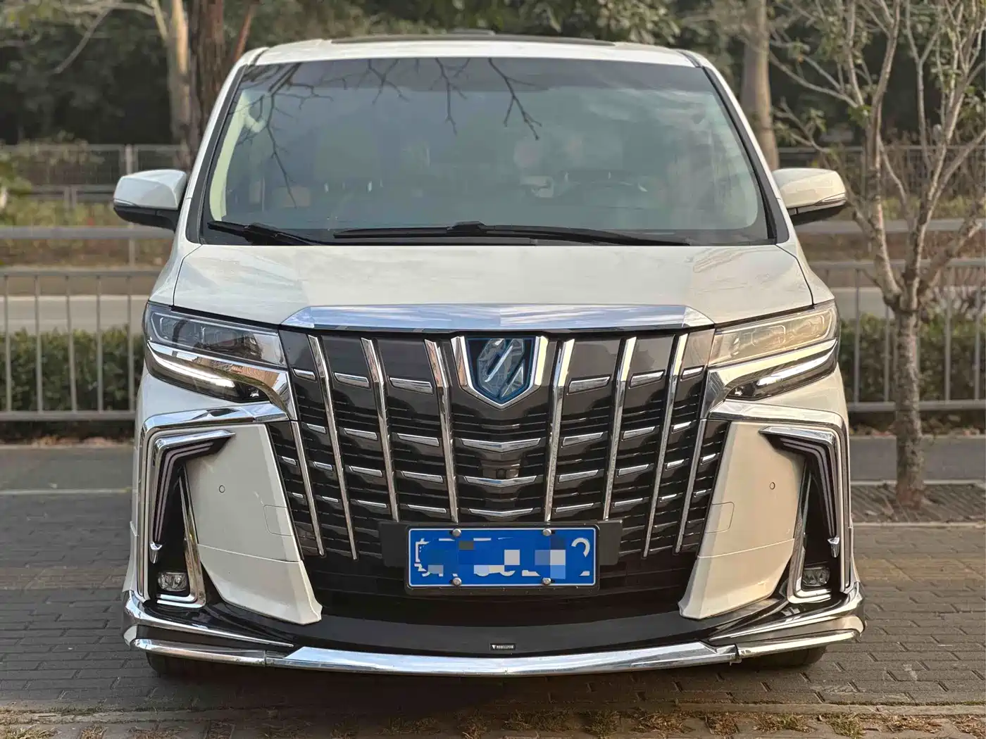Toyota Alphard 2018 3.5L Luxury фото 2