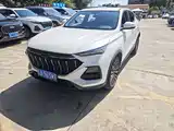 Фото 1 - Changan Oshan Changan Oushang X5