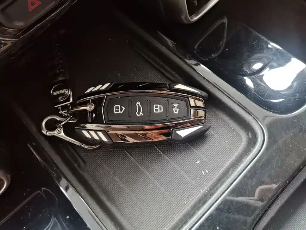 Haval Dargo 2020 2021 1.5T DCT 2WD Border Collie Edition