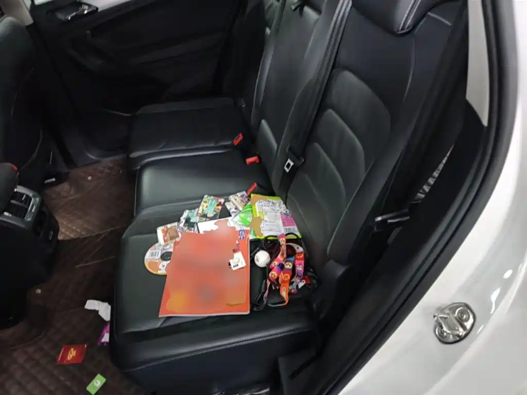 Volkswagen Tiguan L 2018 330TSI Automatic 2WD Luxury Edition фото 17