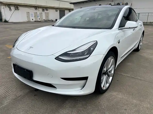 TESLA MODEL 3 2020