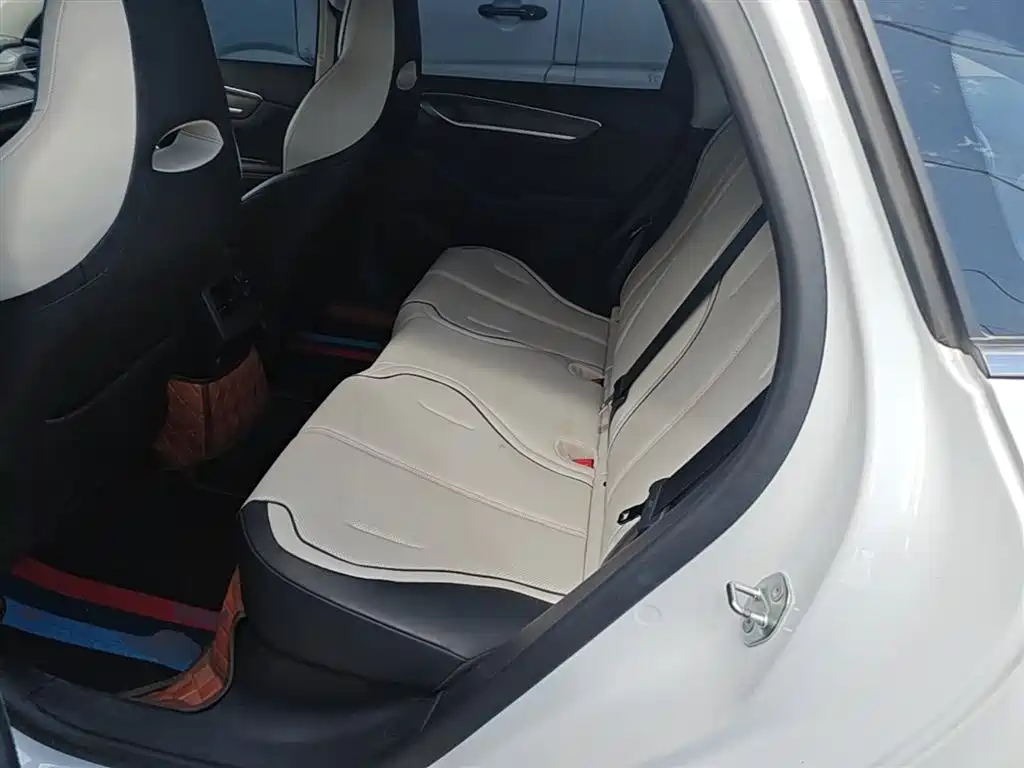 BYD Destroyer 05 2024 Glory Edition DM-i 55KM Luxury фото 13