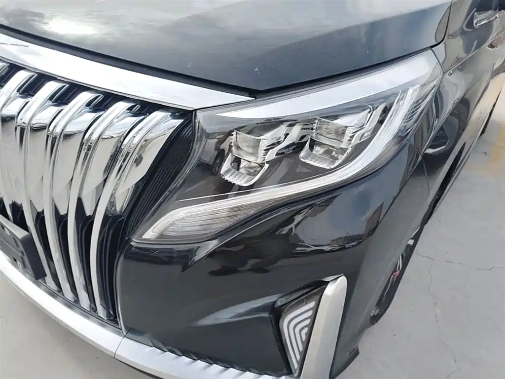 GAC Trumpchi Trumpchi M8 2021 Leading Show Series 390T Premium Edition фото 24
