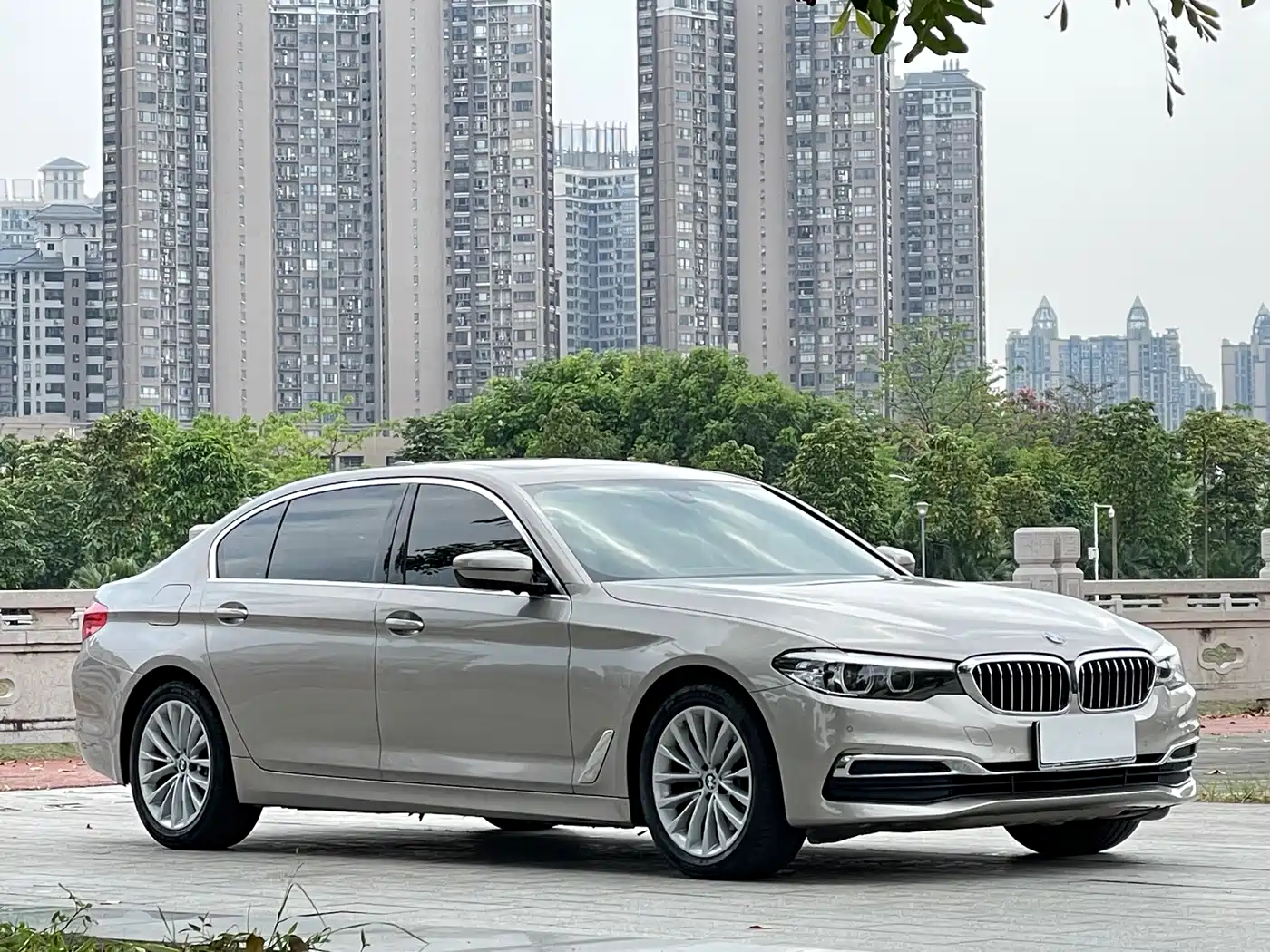 BMW 5 Series 2020 525Li Luxury Package