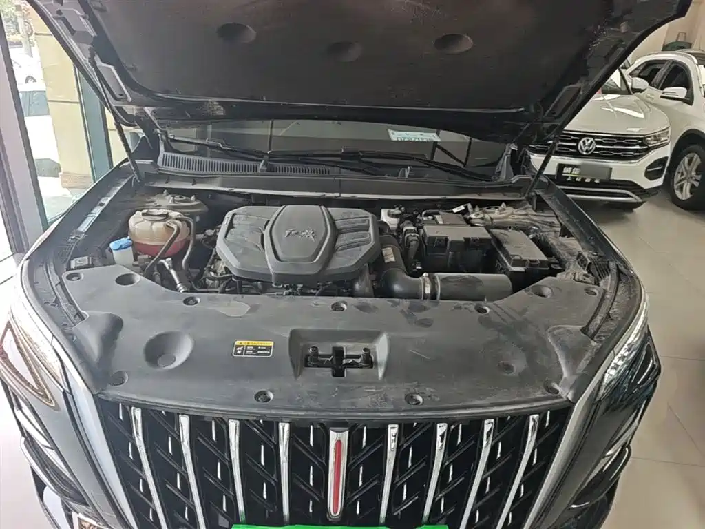 Hongqi HS5 2025 2.0T 2WD 600,000 Units Commemorative Edition фото 20