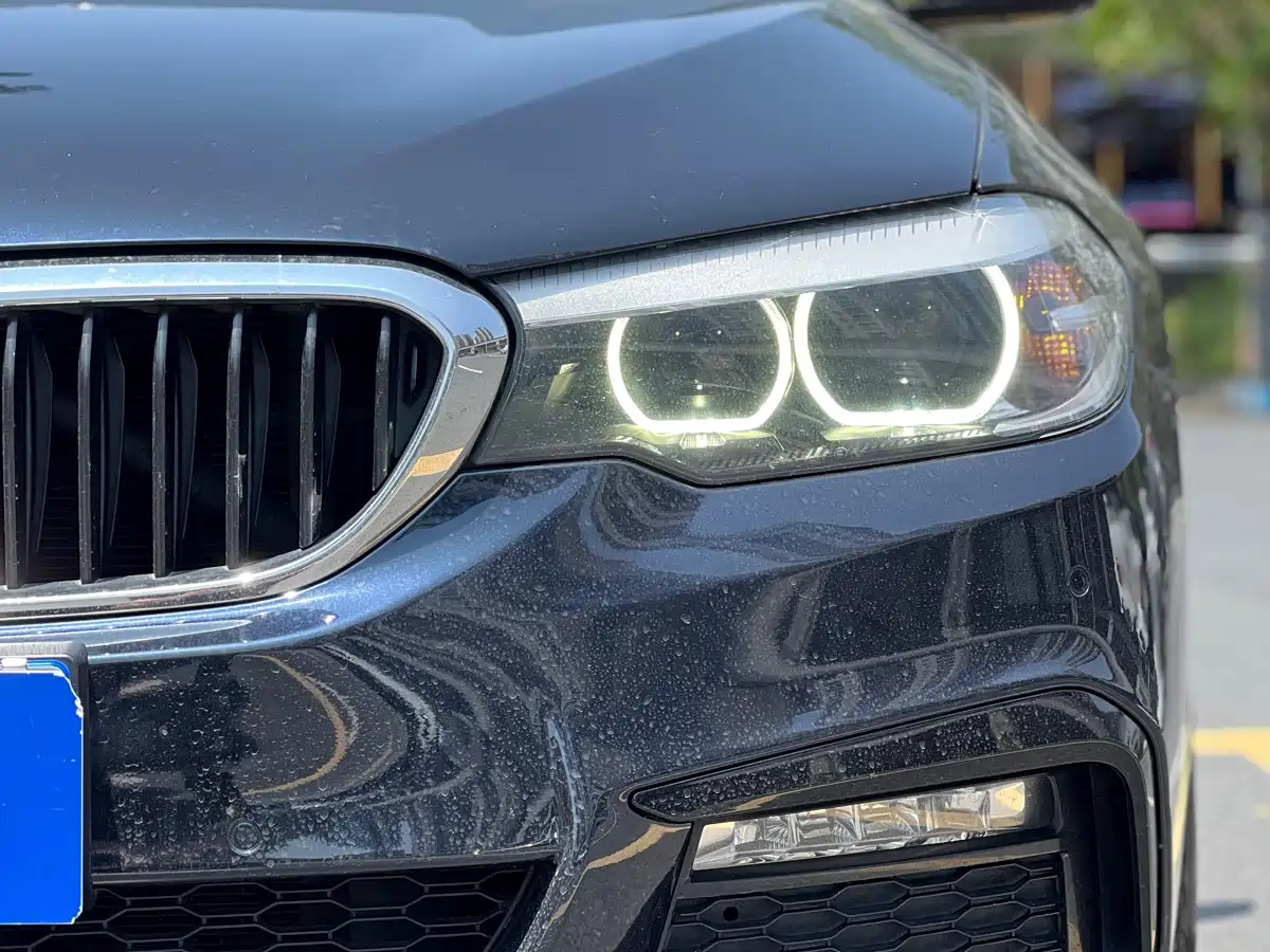BMW 5 Series 2018 530Li Leading M Sport Package фото 21