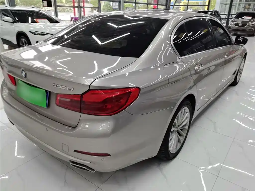 BMW 5 Series 2018 Facelift 530Li Leading Luxury Package фото 7