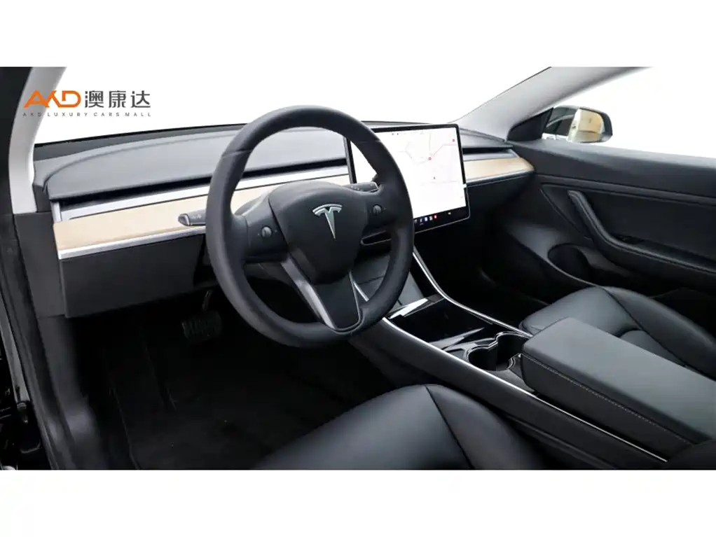 Tesla Model 3 2020 2020 Standard Range Rear-Wheel Drive Upgrade