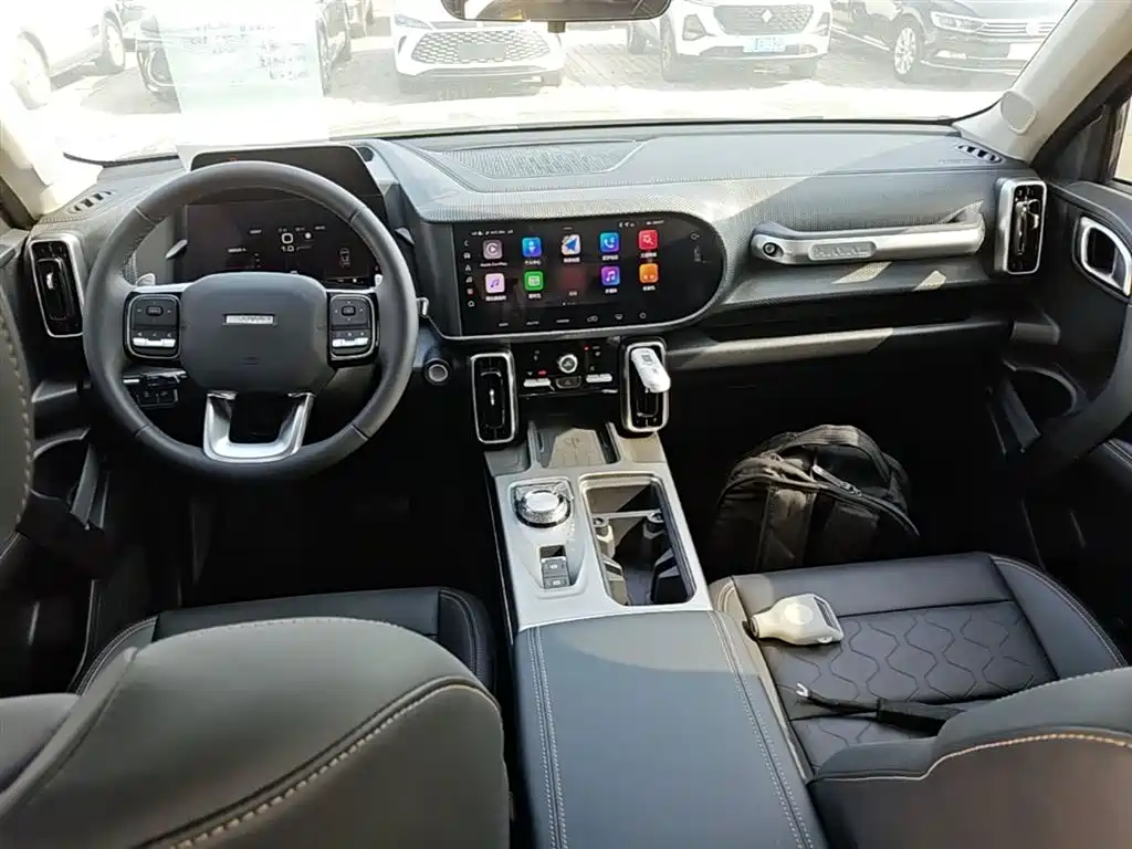 Haval Big Dog 2024 1.5T DCT Border Collie Edition фото 10