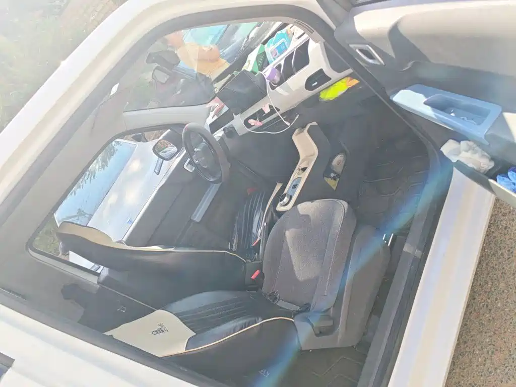 Фото 21 - Geely Galaxy Panda