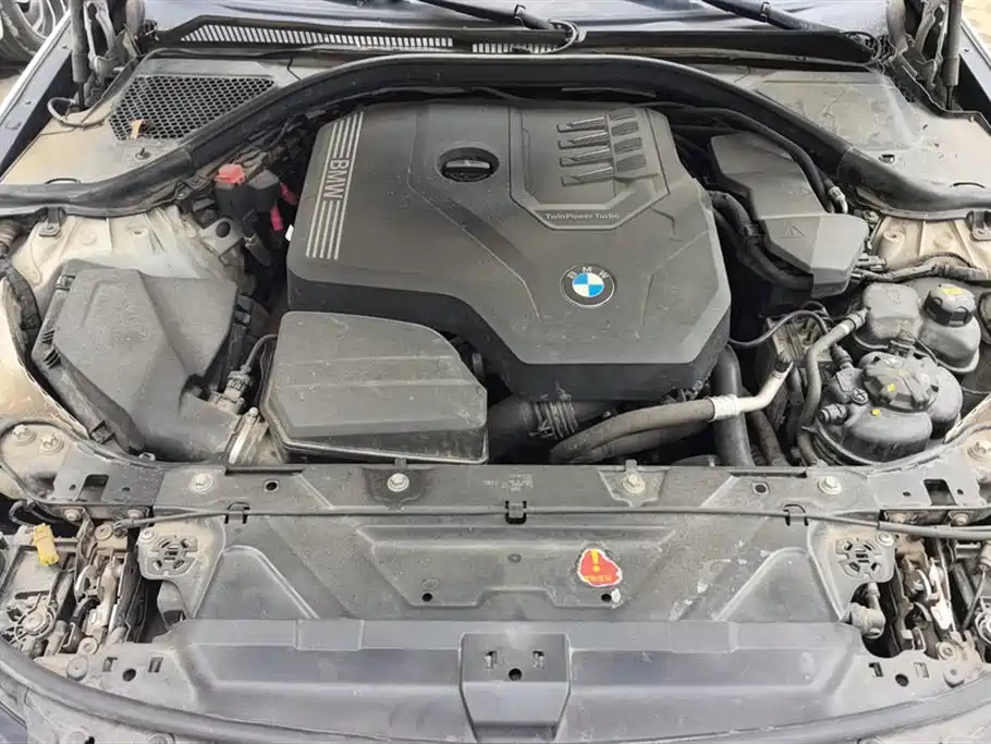 BMW 3 Series 2021 320Li M Sport Package фото 10