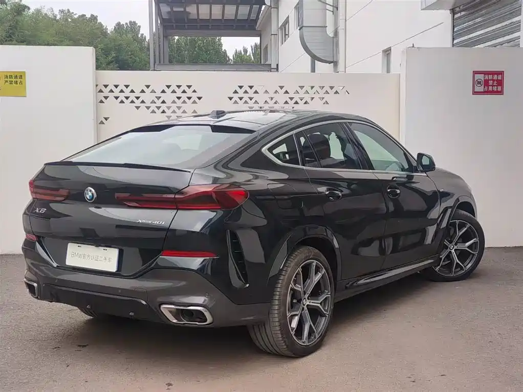 2025 BMW X6
