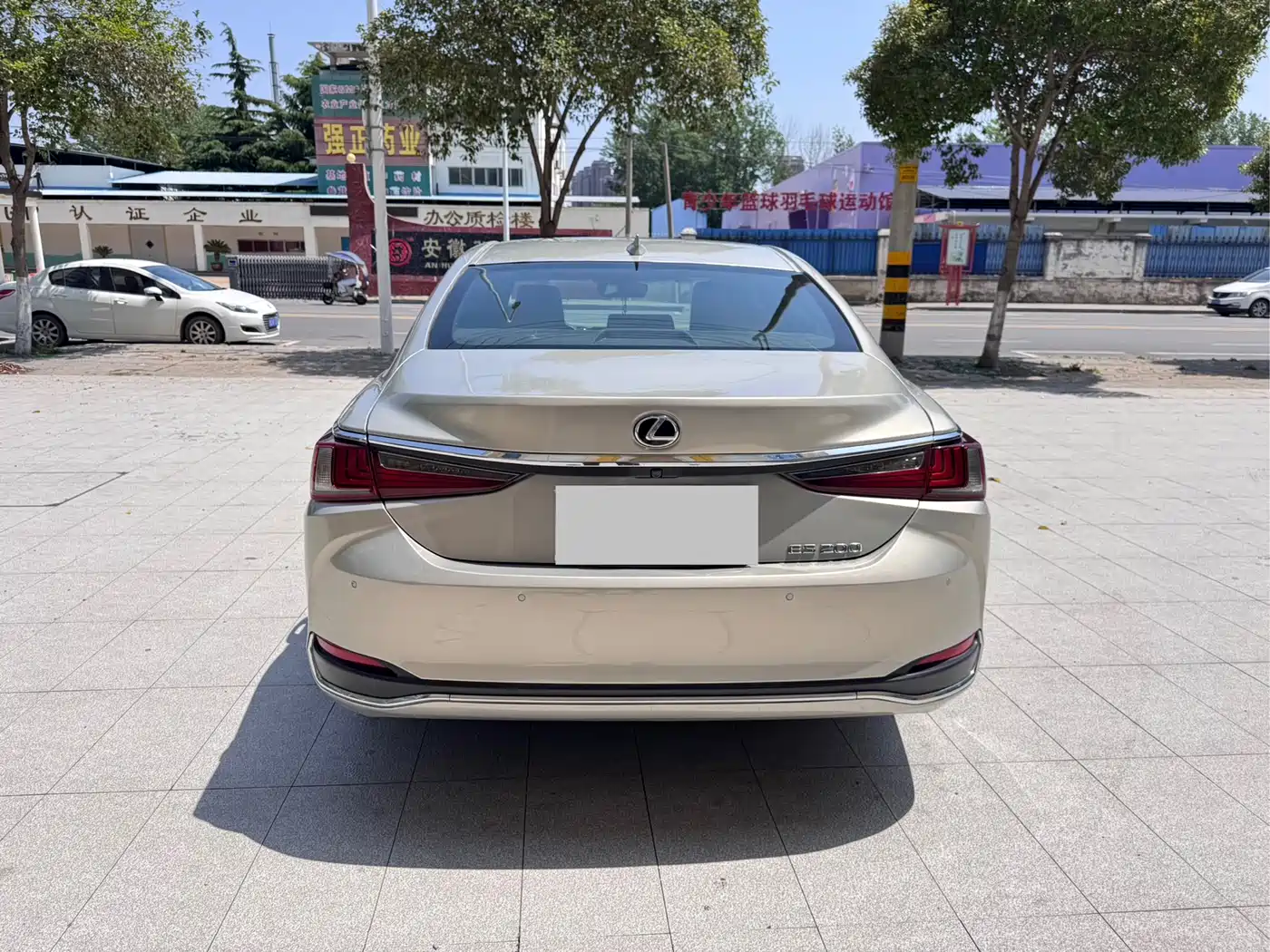 Lexus ES 2018 200 Excellence Edition China V фото 2