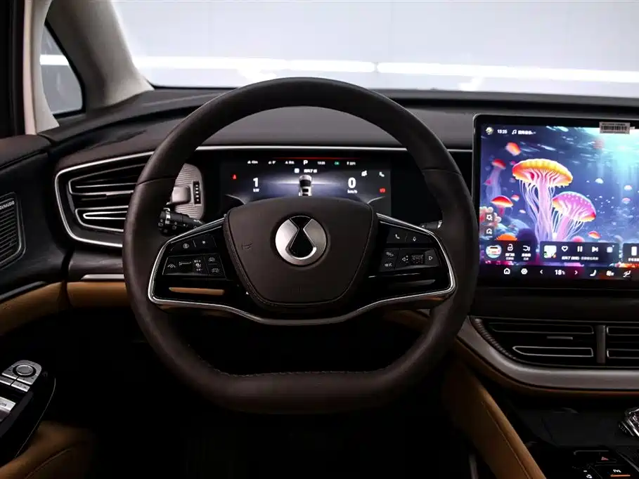 Denza D9 2024 DM-i 980 AWD Premium фото 7