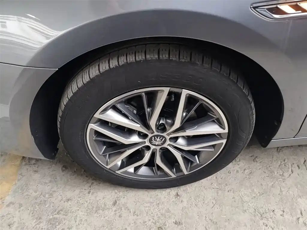BYD Qin PLUS 2024 Glory Edition EV 420KM Surpass фото 23