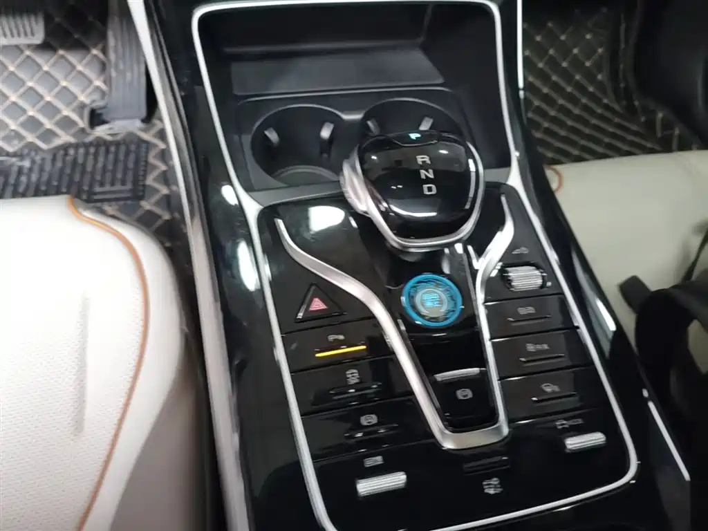 BYD Qin PLUS 2024 Glory Edition EV 420KM Surpass фото 14