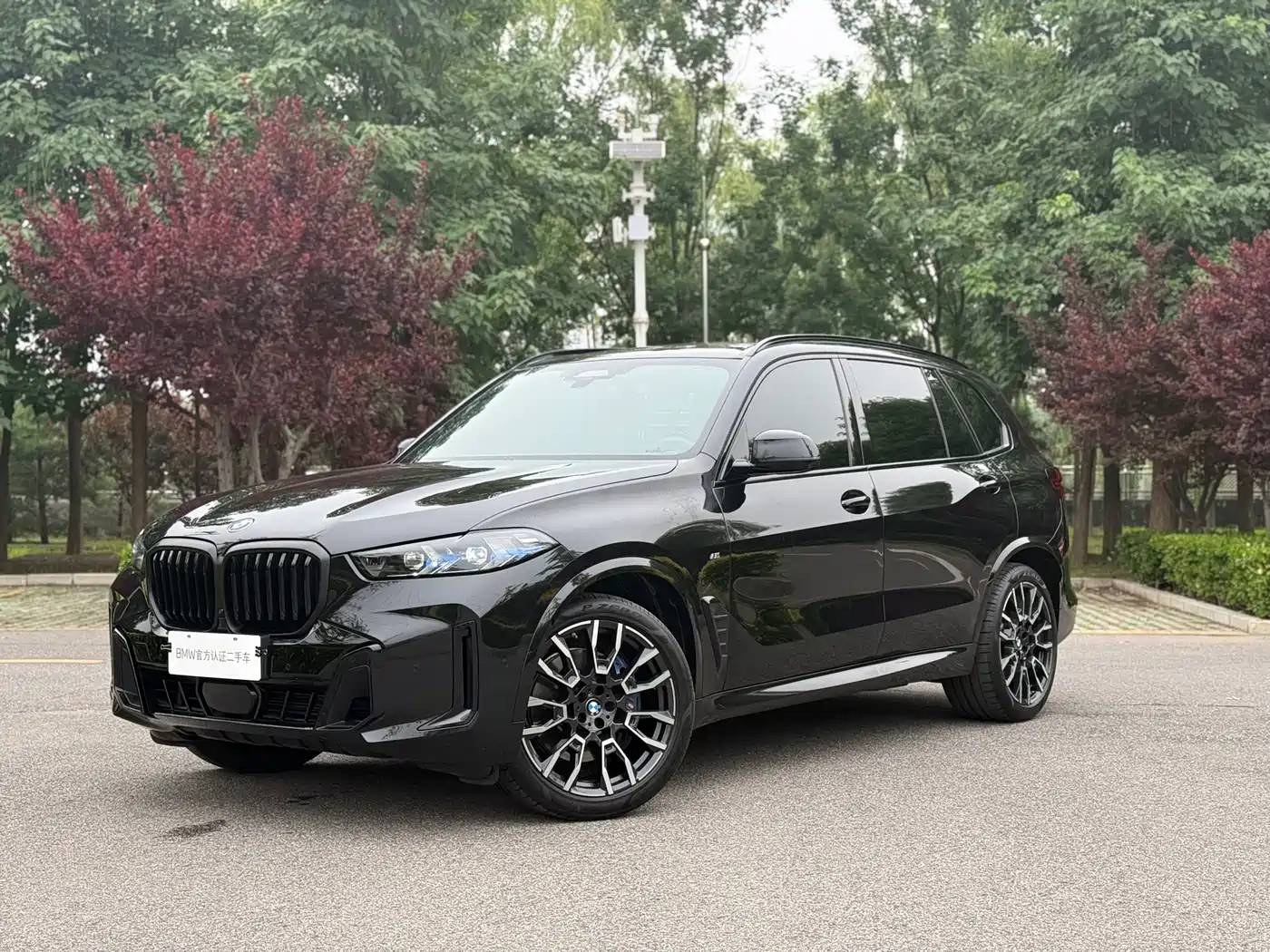 BMW BMW X5 2023 xDrive 40Li Premium M Sport Black Night Package 1