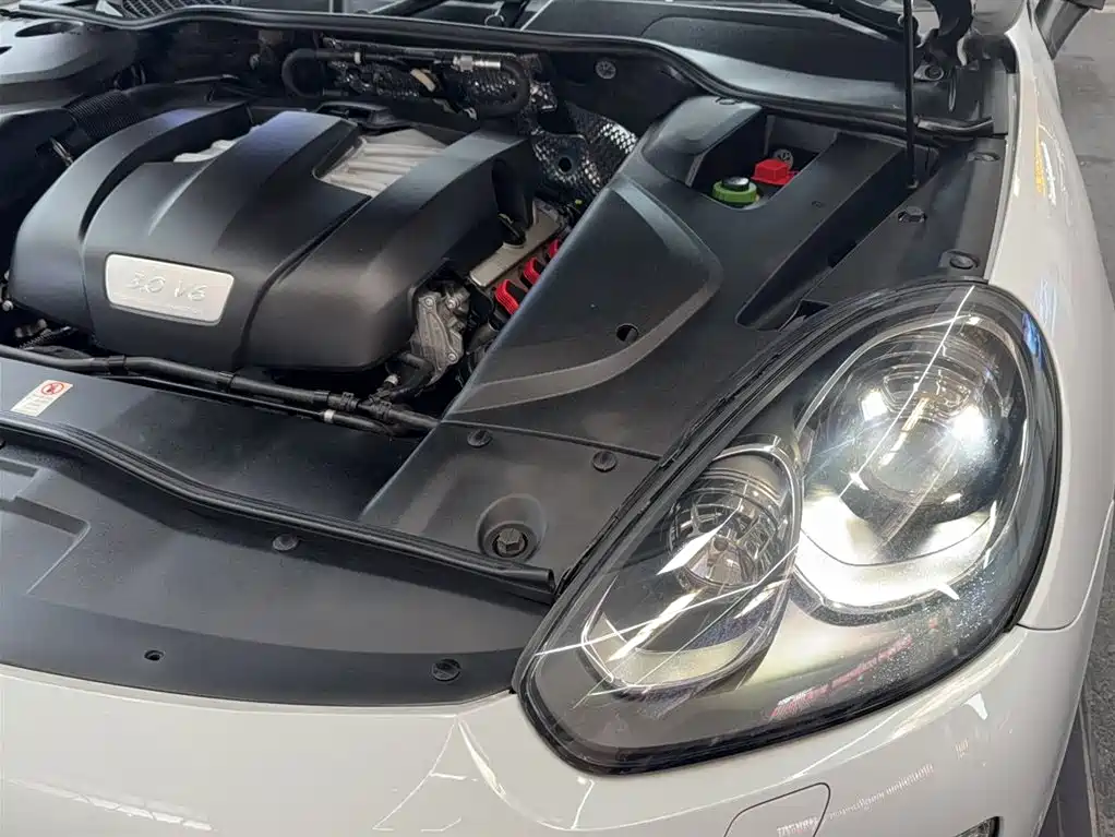 Porsche Cayenne 2016 Cayenne Platinum Edition 3.0T фото 22
