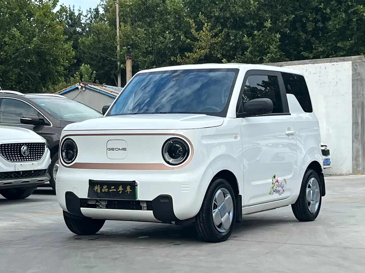 Geely Galaxy Panda 2024