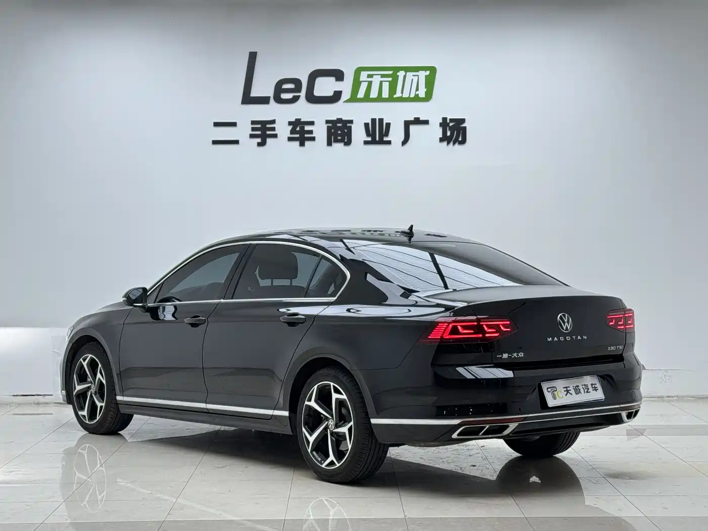 Volkswagen Magotan 2025 Facelift Public Edition 330TSI DSG Luxury фото 18