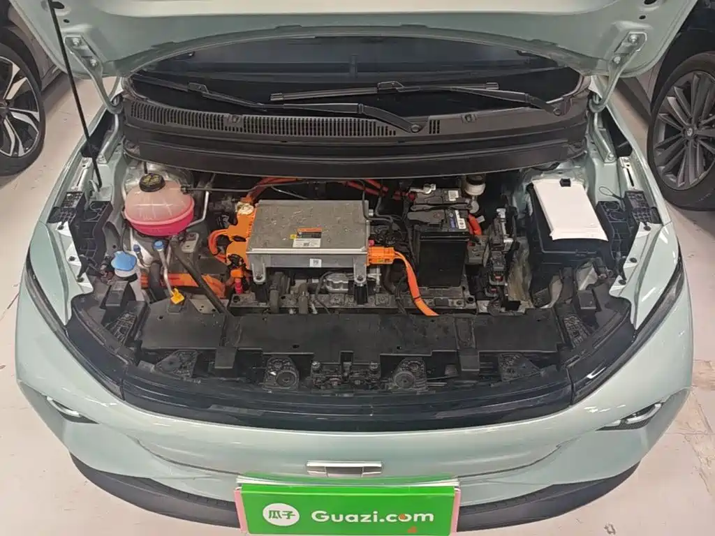 Geely Geometry E Firefly 2024 2024 Model 301km Starlight