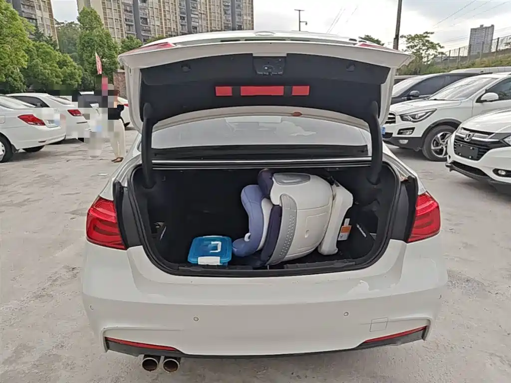 BMW 3 Series 2019 320Li M Luxury Package фото 18