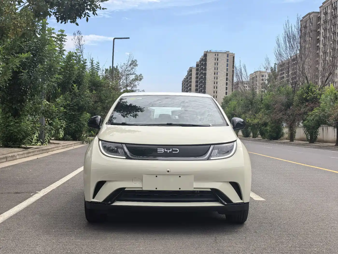 2026 BYD Dolphin