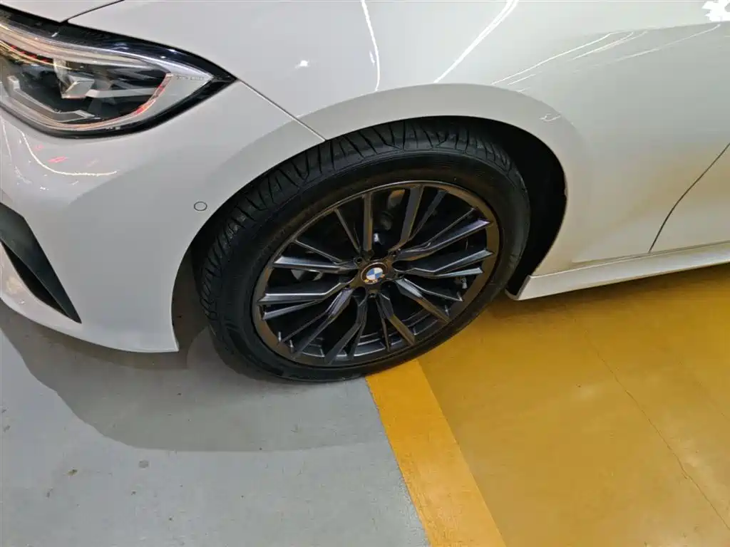 BMW 3 Series 2020 325Li M Sport Black Night Package фото 23