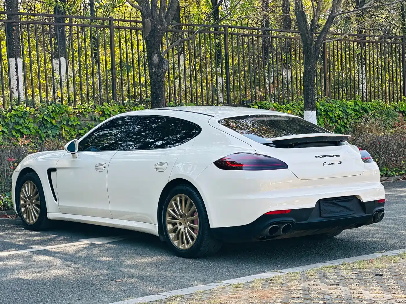 Porsche Panamera 2016 Panamera Executive Edition 3.0T фото 12