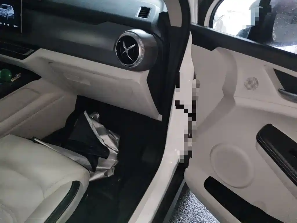 BYD Yuan Pro 2021 2021 401KM Premium Model